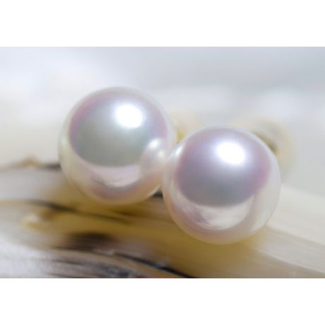 Boucles d'oreilles perles Akoya blanches - 7.5/8mm - AAA - Or blanc