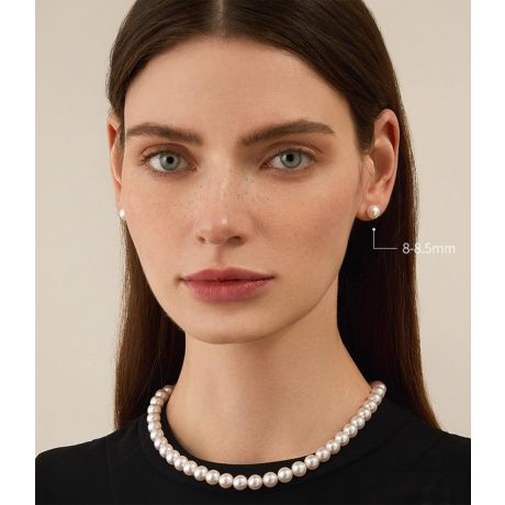 Boucles d'oreilles perles Akoya blanches 8/8.5mm. GEMME. Or blanc