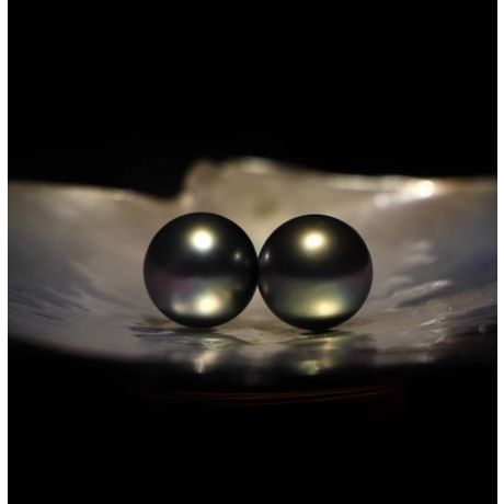 Boucles oreilles clous, or blanc - Perles de Tahiti noires, vertes - 9/10mm, GEMME