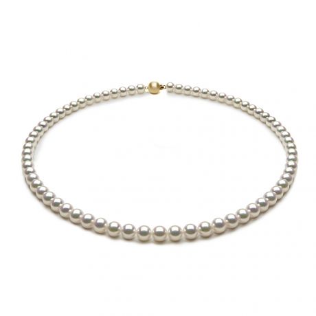 Collier de perles Akoya du Japon - 5.5/6mm - AAA