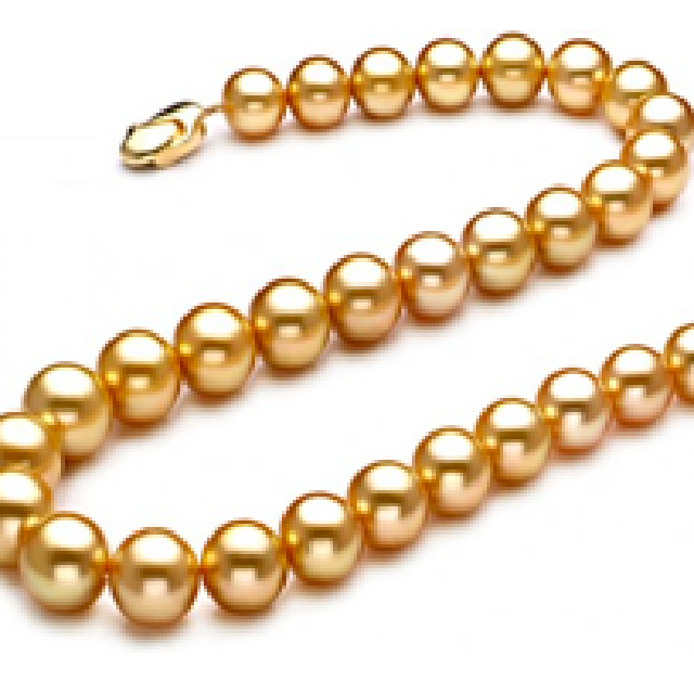 Perles des Mers du Sud — Pinctada maxima