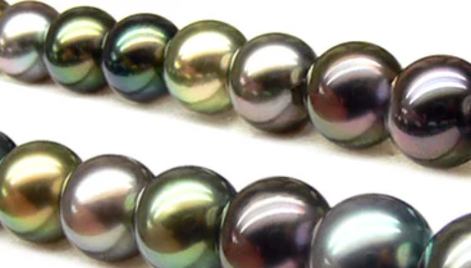 Ferme perlière en atoll de Polynésie française